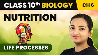 Class 10 Biology Chapter 6  Nutrition  Life Processes [upl. by Diver676]