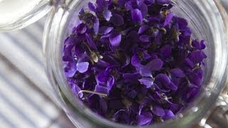 Making Perfume from Violets Enfleurage  Fresh P [upl. by Drusie326]