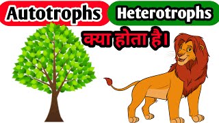 AUTOTROPHS HETEROTROPHS Autotrophs And Heterotrophs BIOBOX What Is Autotrophs [upl. by Akemahs817]