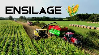 🌽😮 ENSILAGE DE MAÏS 2024  AVEC 13 MACHINES💨💨 [upl. by Aidne]