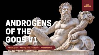 Androgens of the Gods v1  Increase Masculinity  Powerful Subliminal [upl. by Groeg]