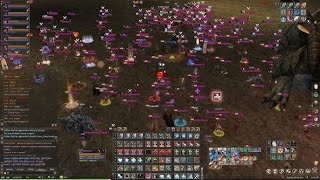 Lineage 2  Spellsinger Antharas PVP x40 Gracia Final [upl. by Trojan]