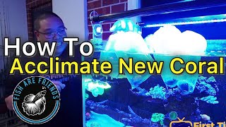 How To Acclimate New Coral Purchases Into Your Tank Beautiful coral shipment from Fish Are Friends [upl. by Akcimahs]