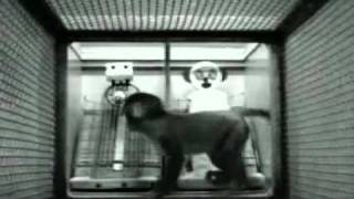 Harry harlow amp rhesus monkeys  developmentmp4 [upl. by Davilman568]