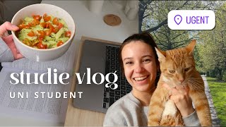 Studie Vlog  Productieve Dagen Van Een Alleen Wonende Student [upl. by Ahseiuqal]