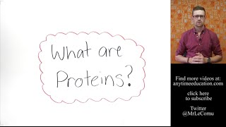 What are Proteins [upl. by Nehtiek523]