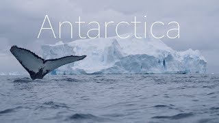 ANTARCTICA  The Frozen Continent  4k DRONE Video [upl. by Eva]