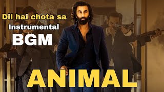 Dil hai chota sa choti se asha bgm song ANIMAL MOVIEinstrumental songranbir kapoor entry song [upl. by Sim]