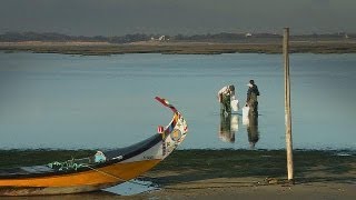 Lagoons under the microscope  futuris [upl. by Osswald]