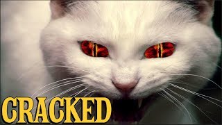 6 Scientific Findings That Prove Cats Are Evil [upl. by Etnaud]