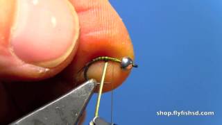 Fly Tying with Hans Tungsten Quill Emerging Nymph [upl. by Ylil]