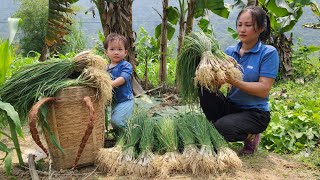 Harvest Green Onions Goes To Market Sell  Cooking Daily life  Lý Phúc An [upl. by Yllrebmik]