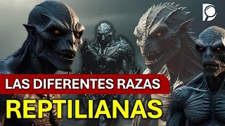 Las diferentes Razas REPTILIANAS [upl. by Ronoel]