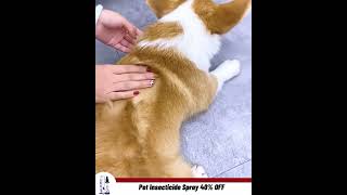 Pet Insecticide Spray [upl. by Nehr]