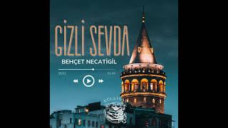 Gizli Sevda  Behçet NECATİGİL [upl. by Amsirak]