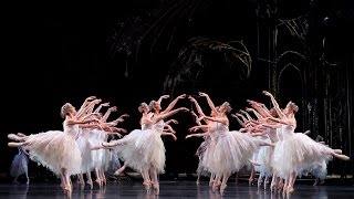 Swan Lake Corps de Ballet The Royal Ballet [upl. by Drofliw241]