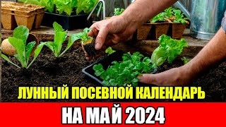 Лунный Посевной Календарь на МАЙ 2024 Воздержитесь от работ в ЭТИ ДНИ [upl. by Arva]