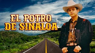 El Potro De Sinaloa  Corridos y Canciones Con Banda Album Completo [upl. by Reseda322]