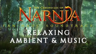 The Chronicles of Narnia  Relaxing Ambient amp Music  William Maytook [upl. by Yeliah]