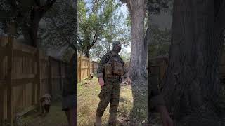 USMC taps rig  plate carrier set up airsoft army airsoftfeb airsoftrifles military ￼ [upl. by Griggs6]