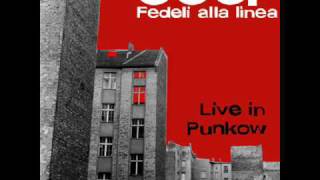 CCCP Fedeli alla linea  Curami Live in Punkow [upl. by Stevy931]