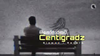 Centigradz Old Vibes Best Songs Collection  මනොපාරකට හොදම ටික centigradz old vibes viral [upl. by Oflunra169]