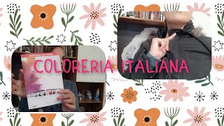 RECENSIONE COLORERIA ITALIANA COLORE NERO SU MACCHIA DI CANDEGGINA [upl. by Oilisab610]