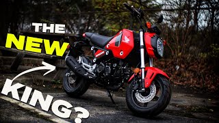 New Honda Grom 125 Review  Better than the Monkey Dax amp Super Cub Motorcycles [upl. by Justina]