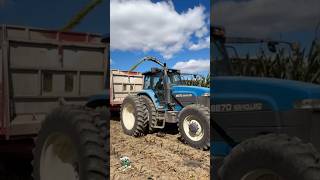 Chopping Corn Silage near Versailles Ohio tractor harvest [upl. by Gapin709]