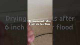 Mold spray then drywall venting [upl. by Wil]