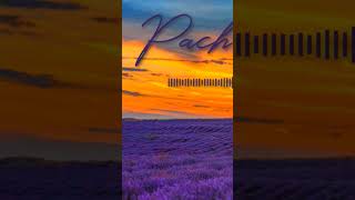 Pachai nirame cover music composer pianocover musician pianomusic soundtrack piano bgm [upl. by Oram412]