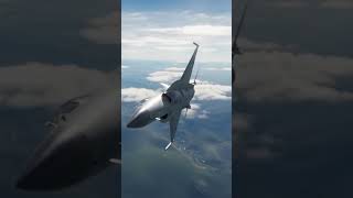 F17 vs SU35 Gun Dogfight [upl. by Anos]