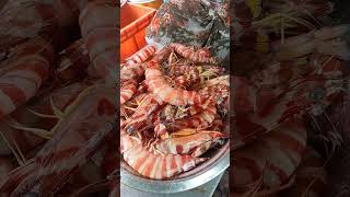 Tige prawn🦐 venuma makkalae [upl. by Arramahs]