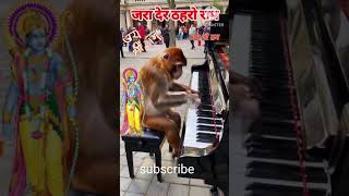 monky songyoutube youtubeshorts song trending viralvideo viralshort video viralshorts [upl. by Coffin]