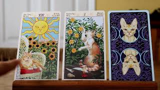 Tarot Reading for Feb 26  March 3 [upl. by Sillad623]