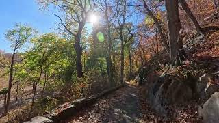 Taking a walk in Inwood Hill Park Insta360 Ace Pro 2 test November 9th 2024 [upl. by Groark331]