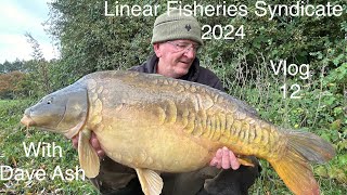 Linear fisheries Syndicate Vlog 12 with Dave Ash [upl. by Boyden]