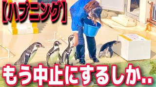 言うことを聞かないペンギン！飼育員の機転が凄すぎた おたる水族館 [upl. by Haag189]