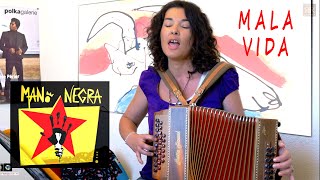 Accordéon Chant  Mano Negra  MALA VIDA [upl. by Hterag956]