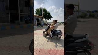 😳JIMMY🐶TO👀DEKHTE HIE CHLA GYA🤣 ashortaday minivlog trending vlog [upl. by Lraep]