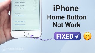 How to Fix iPhone Home Button not Working5 Ways [upl. by Dhumma348]