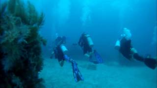 SCUBA Certification Dives in Key Largo  GoPro Hero HD [upl. by Aztilay]