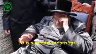 Belzer Rebbe At Birkas Hailonos  Nissan 5784 [upl. by Zippora]