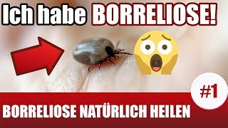 Ich habe Borreliose Borreliose Behandlung natürlich 1 [upl. by Forrer]