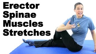 Erector Spinae Muscles Stretches  Ask Doctor Jo [upl. by Candless922]