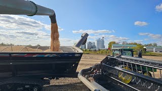 Harvest Continues and Tillage Gets Rolling [upl. by Means]