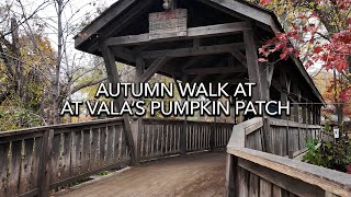 Autumn Walk at Vala’s Pumpkin Patch and Apple Orchard 4K  Fall Ambient Sounds [upl. by Yadroc]