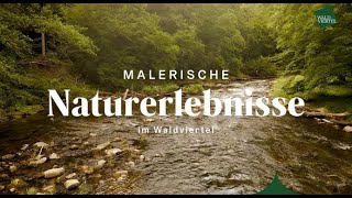 Malerische Naturerlebnisse im Waldviertel [upl. by Surazal706]