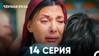 Чёрная роза 14 Короткая Серия [upl. by Auria]