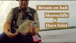 BREAM FISHING with mullet for bait  Shorncliffe and Hays Inlet [upl. by Orazal]